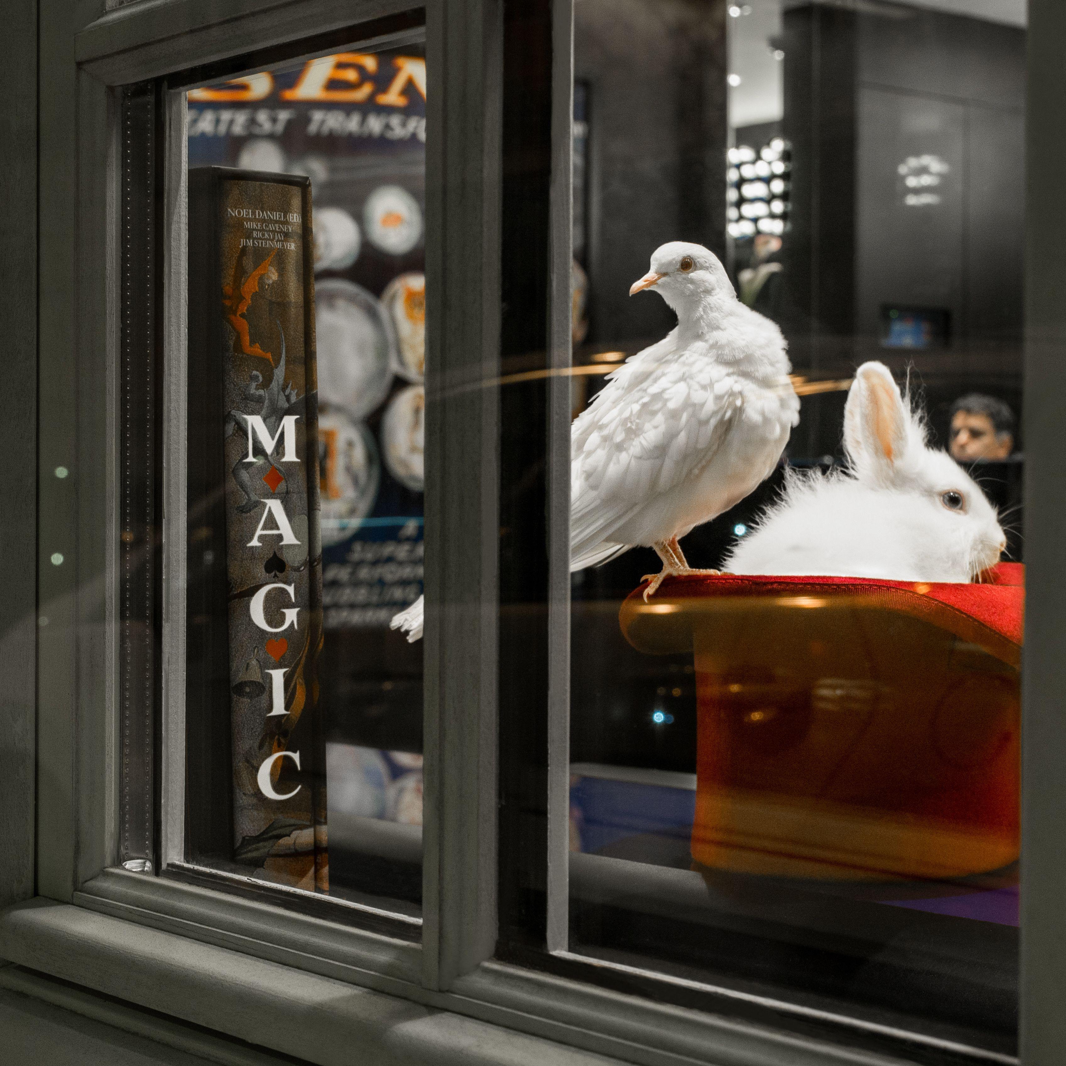 Hotel Maison Monceau Paris