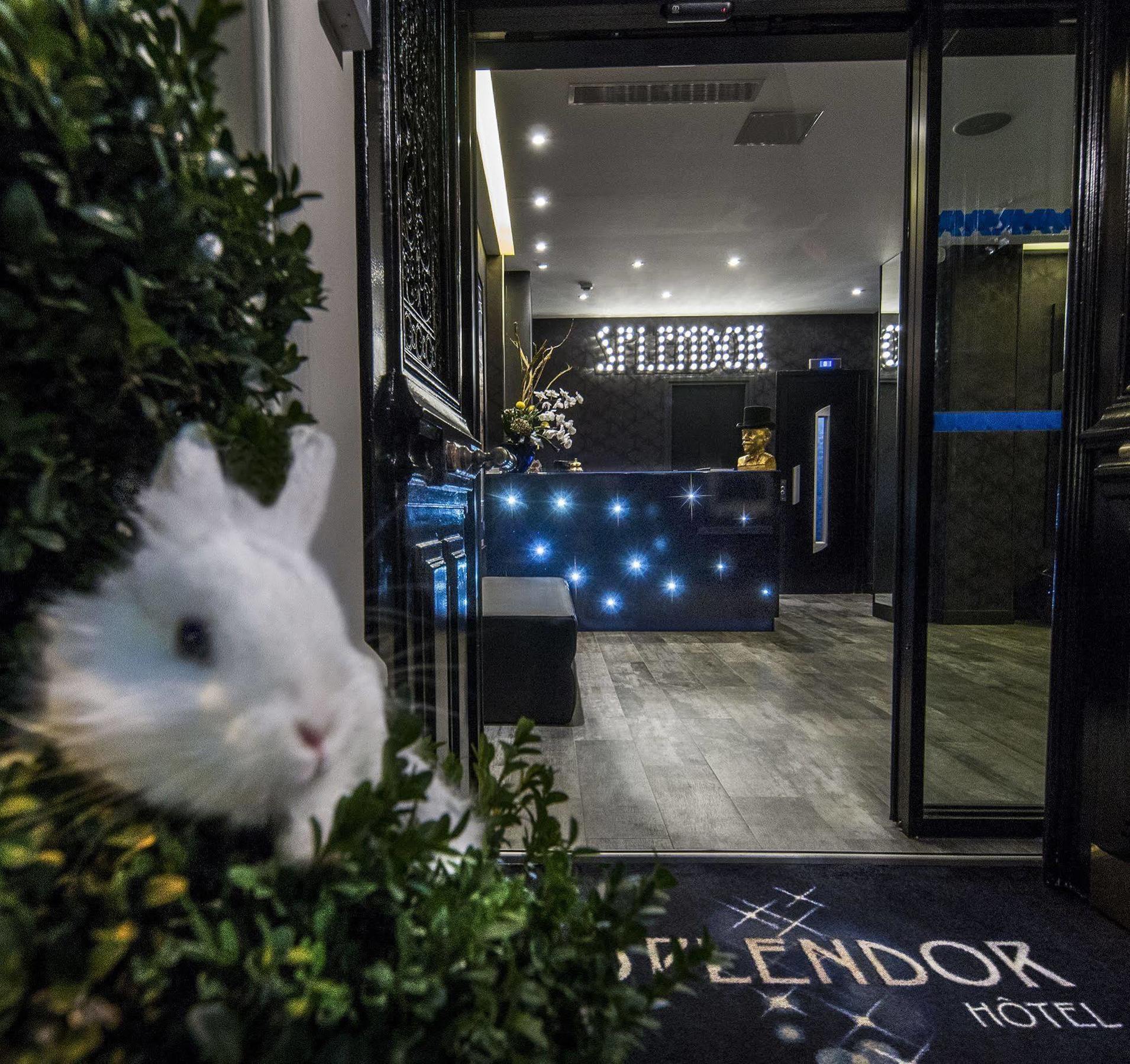 Hotel Splendor Elysées 3*